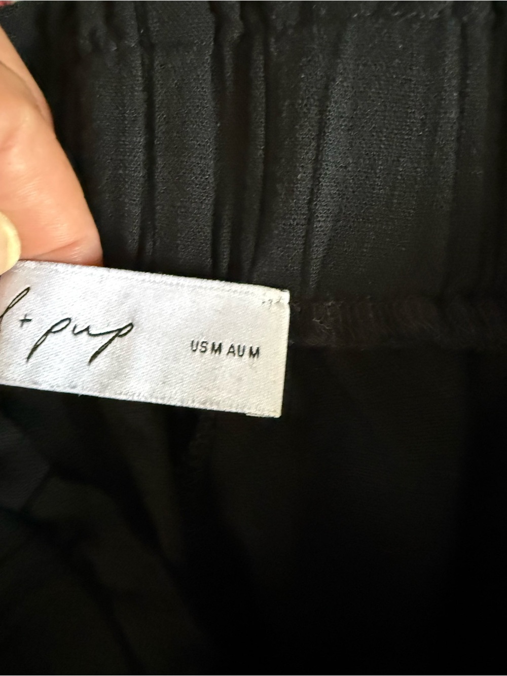 LOT OF 5  Pants Size M/6. ZARA, Zara Woman, Max Studio, GAP, Petal & Pup - Picture 16 of 16